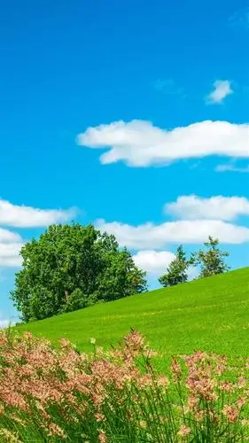 今天天气好晴朗