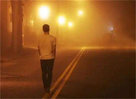 求一张图片 黑夜里一排路灯 有个男生是白色衬衫的背影 双手插兜黑白