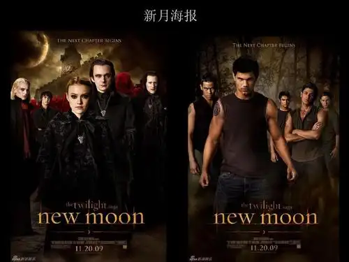 暮光之城读书介绍ppt