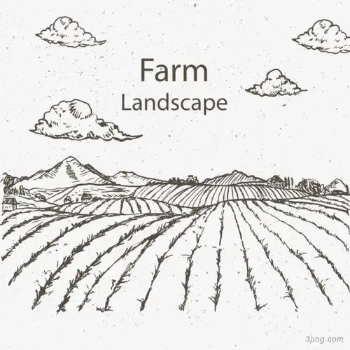 矢量平原稻田png素材透明免抠图片-装饰效果