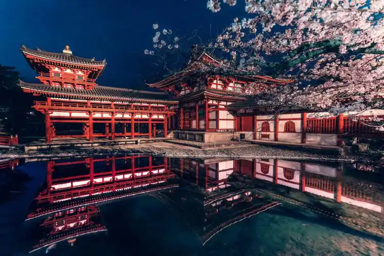 京都夜樱平等院凤凰堂