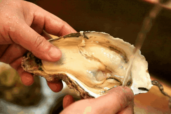 1的超大生蚝plus!这家店的海鲜已彻底虏获我的心!