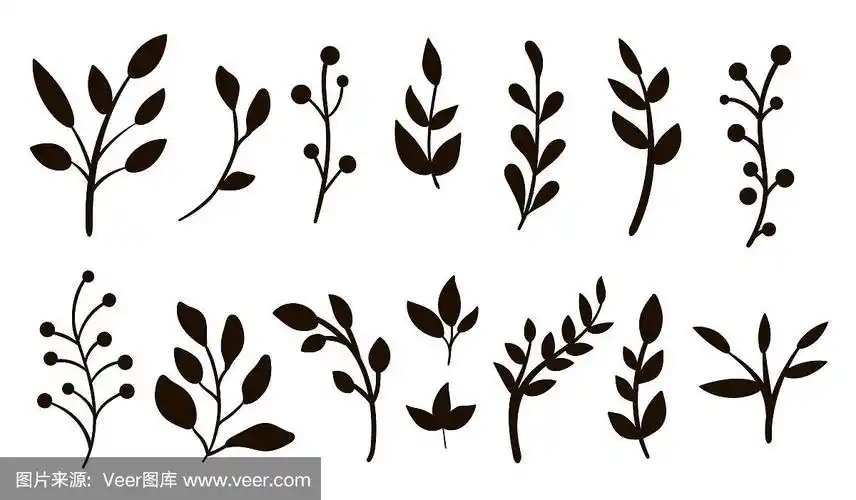 矢量绿色植物剪影剪辑艺术集.平面时尚插图与树叶,树枝,浆果.