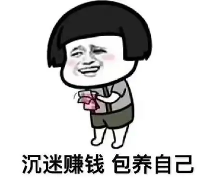 沉迷赚钱,包养自己表情
