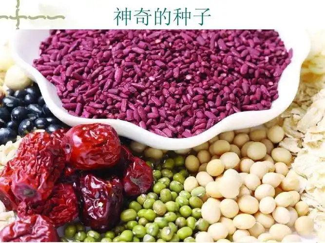 神奇的种子ppt_word文档在线阅读与下载_免费文档