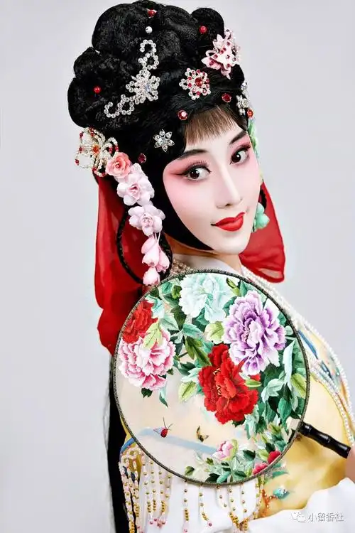 京剧卖水剧情_王梦婷 | 京剧偶像的背景-票房剧透网