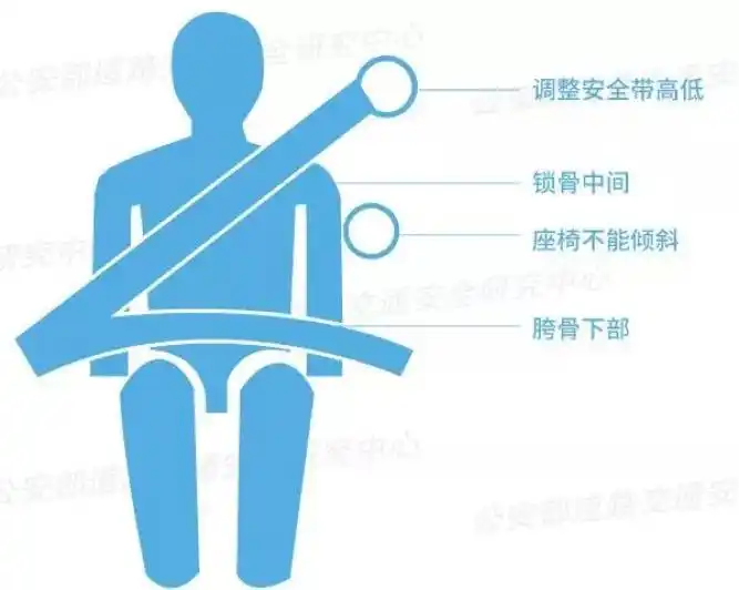 山西公安交警公布典型案例提醒机动车驾乘人员正确使用安全带