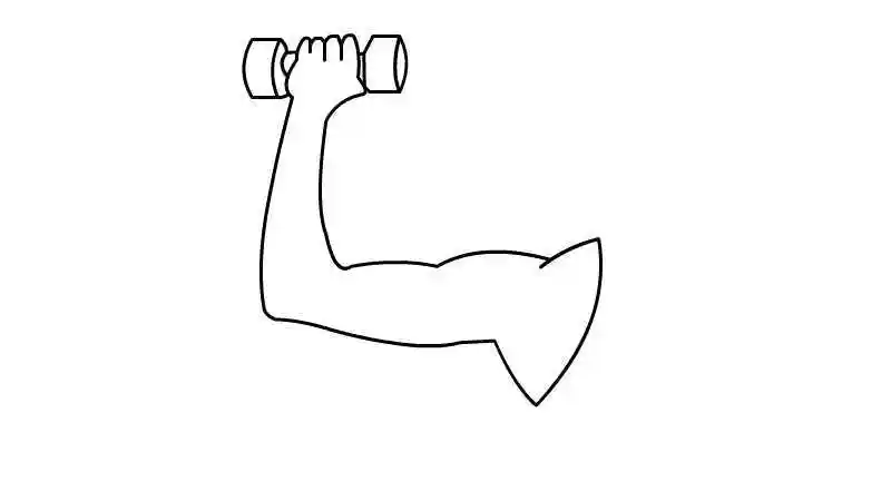 胳膊简笔画,胳膊的画法_互过网