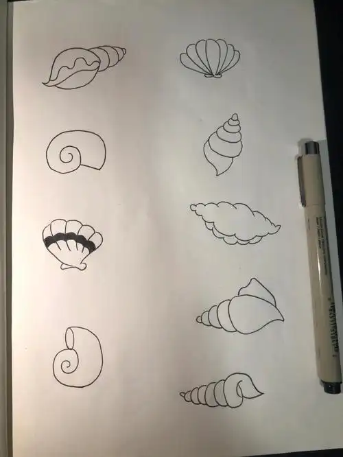 简笔画25动物篇贝壳