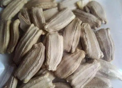 葫芦的种子长什么样图片