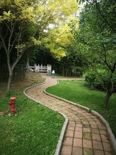 s型构图  凤凰河边