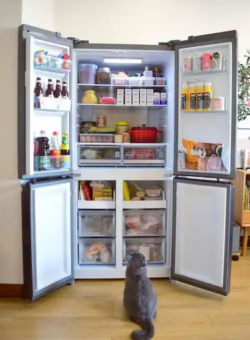 冰箱一定要"5不选",都是过来人的经验教训_制冷_时候_冷冻