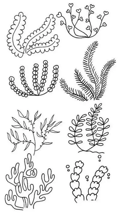 水草简笔画步骤图水生植物简笔画6张海洋植物简笔画图片海洋动物和