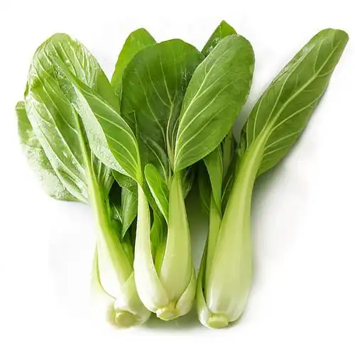 有机汇小松菜新鲜蔬菜小青菜绿叶菜鸡毛菜有机蔬菜辅食250g