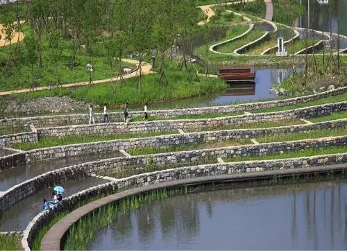 城市小型人工湿地公园案例研究