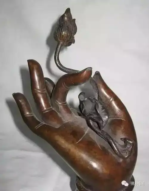 姿态万千禅意无限佛手之美欣赏