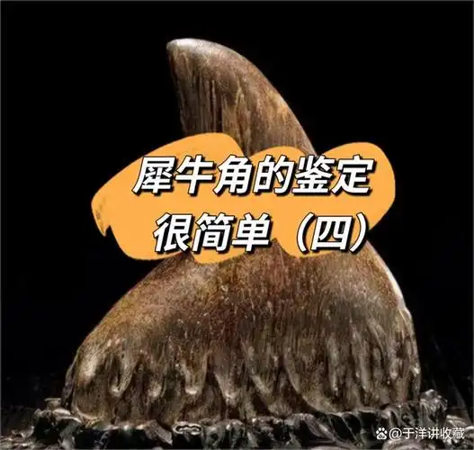 犀牛角鉴定最简单的方法