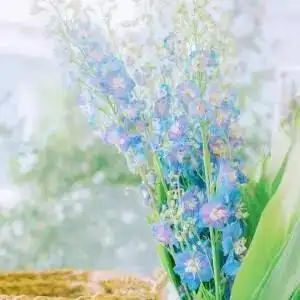 简约好看的小清新微信风景头像精选唯美清新淡雅微信头像简约干净风景