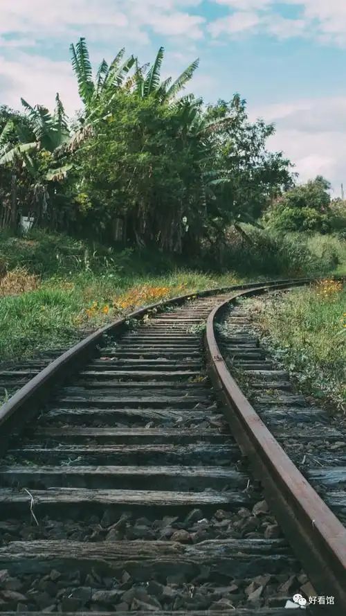 高清火车铁轨风景-风景壁纸-电脑 手机 - 知乎