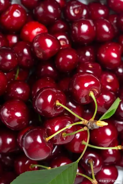 车厘子多少钱一斤