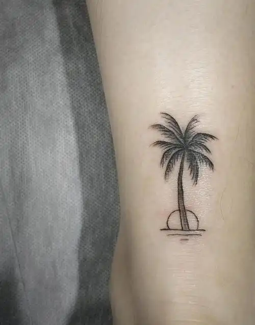 椰子树_纹身图案手稿图片_周帅的纹身作品集