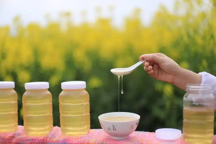 老谢农家蜂蜜 油菜花蜜 自产自销 无加工,美容 孕妇小孩老人都可