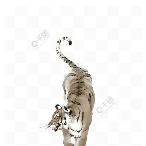 老虎动物猛兽尾巴淡彩国画中国风水墨画