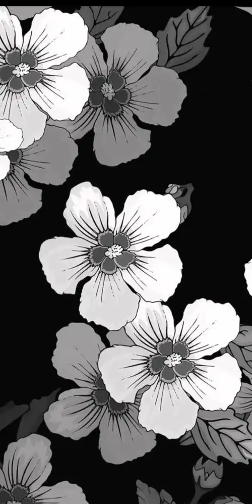 换壁纸喽_哔哩哔哩_bilibili