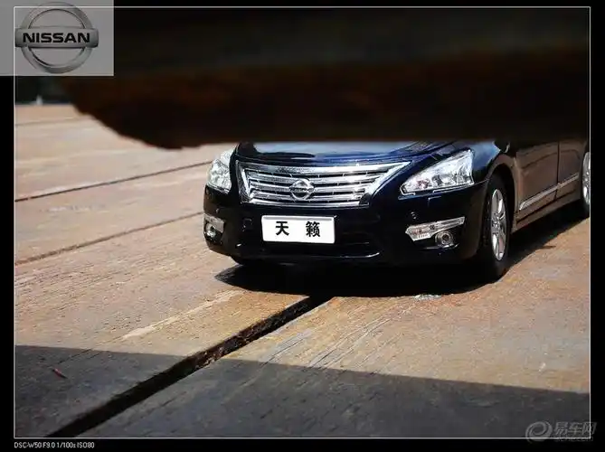 新天籁随拍---俊逸系列