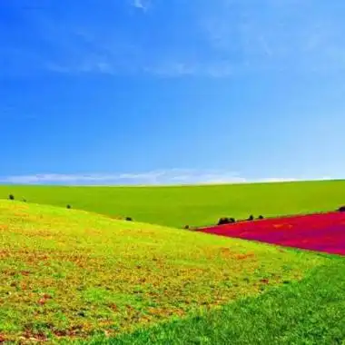 很优质很好看的风景大气招财头像很有质感很精致的风景招财头像