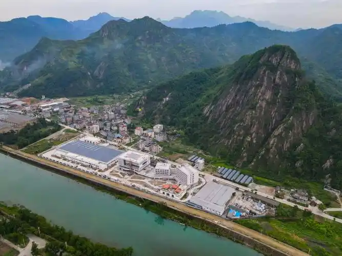 仙草串起共富梦乐清市大荆镇全力打造产城人融合发展示范标杆