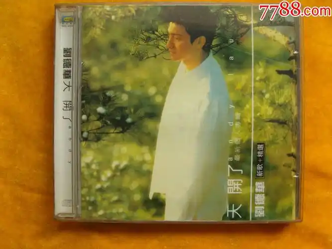 刘德华——天开了