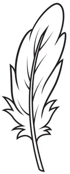 羽毛绘画技巧教你画超简单羽毛