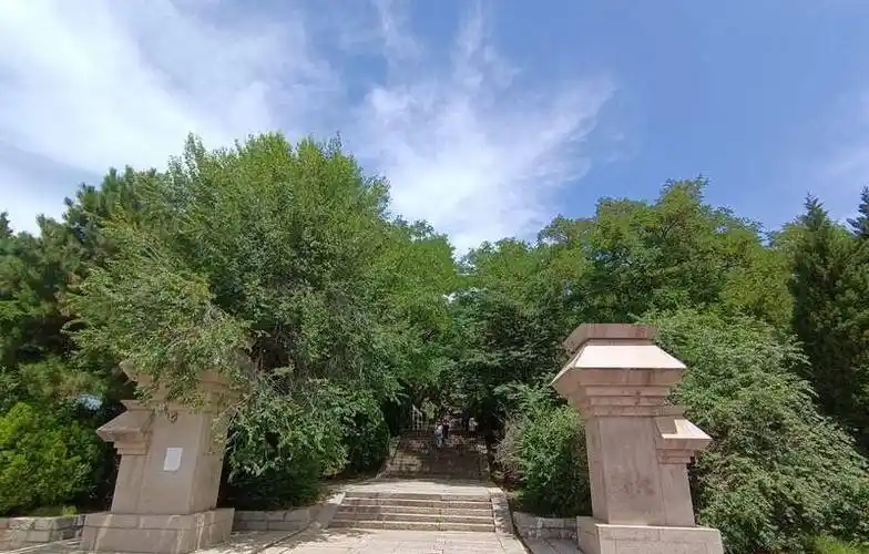 秦始皇陵都得让位,园内千年古树上万株_祭祀_黄帝_黄陵县