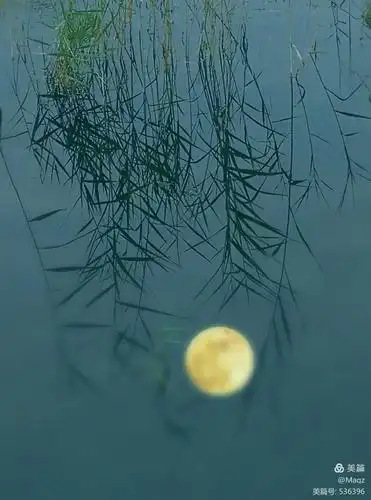 水中月朦胧