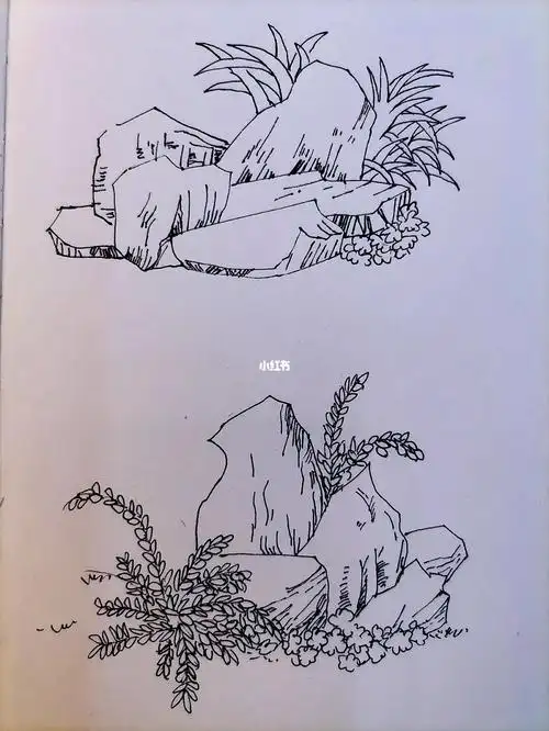 钢笔画 无线稿临摹小场景 石头植物小组合