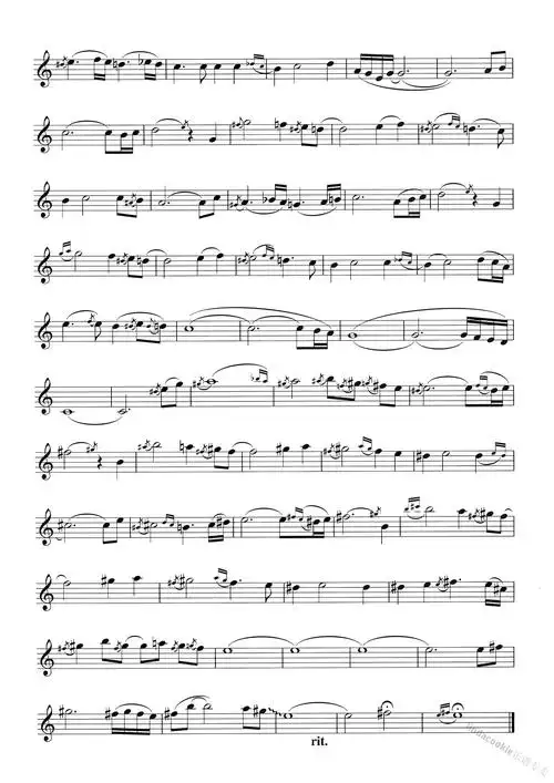 我心永恒my heart will go on----肯尼基高音萨克斯谱子