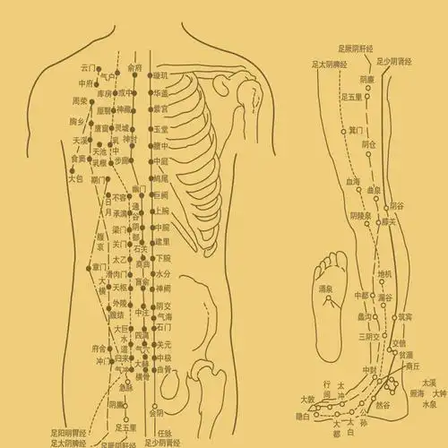 中医十二经络图丝绸画 精品人物穴位挂图 养生文化国画卷轴画定制