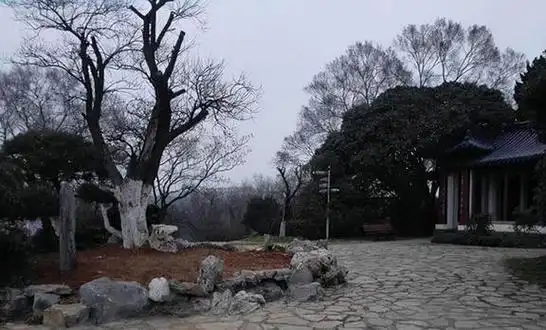 汪精卫墓地蒋介石密令炸毁开棺尸体未腐烂口袋有张3寸纸条