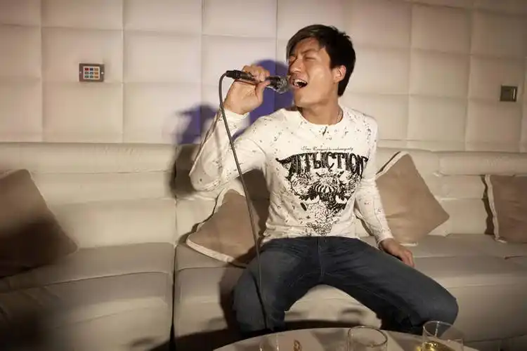 艺术,聚餐,休闲装,娱乐,现代,刺激,张嘴,休闲,个性,握着,摄影,ktv包厢