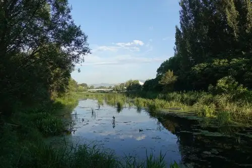 发布日期:2017年8月10日 浏览:9357评论:1点赞:3 tag:早晨,妫河风景