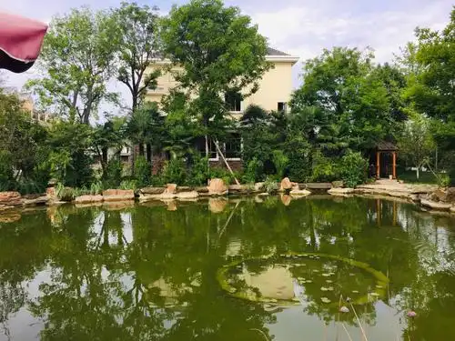 同学重游华中绿谷