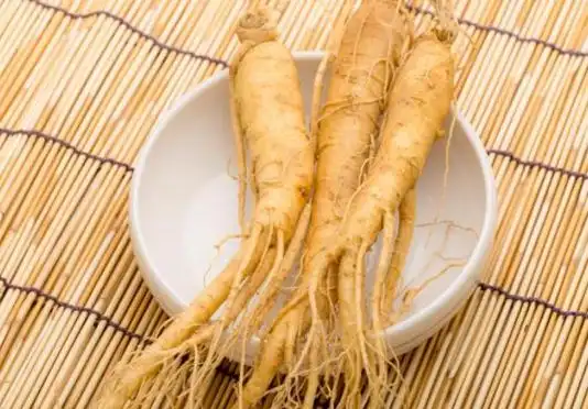 吃人参有什么好处男人吃人参有什么好处