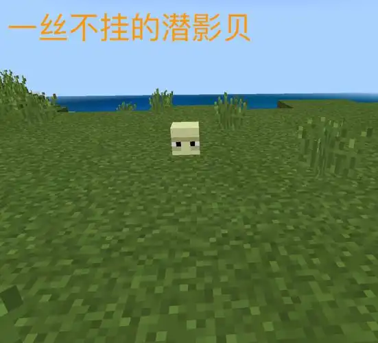 我的世界:关于潜影贝的九个秘密,它心里有一个梦想,你知道吗?