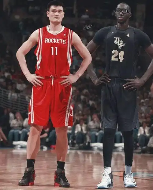 法尔和姚明一样高臂展比姚明出色为何无法取得成功