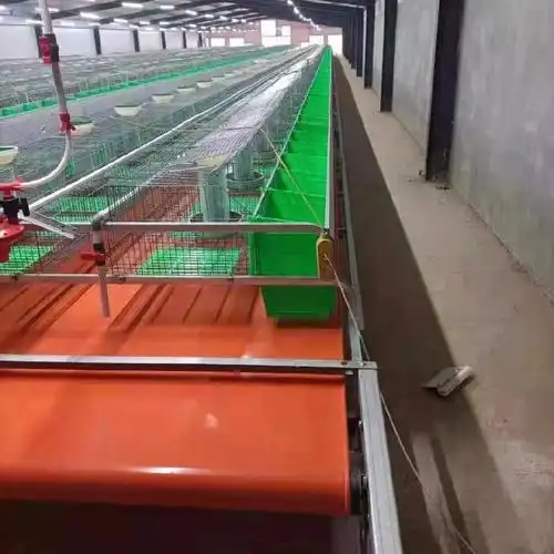养兔设备 欧式兔笼 新式兔笼 传送带设备 自动清粪兔笼