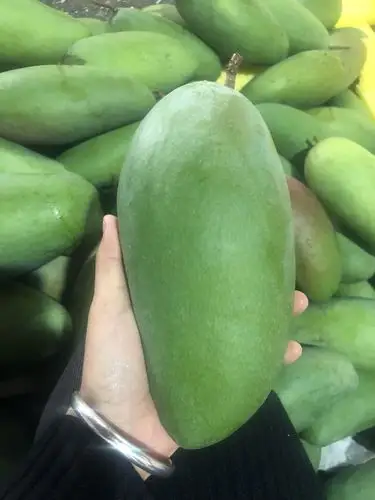 海南大青新鲜10斤攀枝花特大当季水果芒果