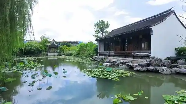 苏州鹤园,以"携鹤草堂"为名,园如其意,清雅脱俗.