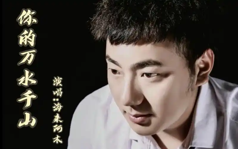 这才是《你的万水千山》原唱,海来阿木的歌声撕心裂肺,听得心痛