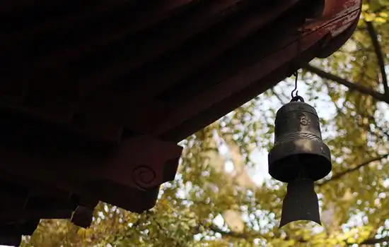 古钟"不同凡响"可疗疾